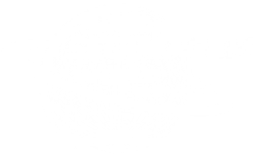 Sedimagem Word Exportao e Importao LTDA